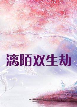 漓陌双生劫 
