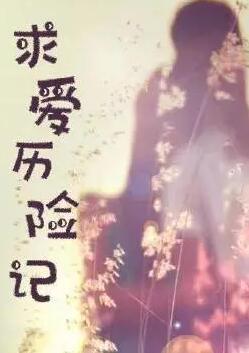 求爱历险记 