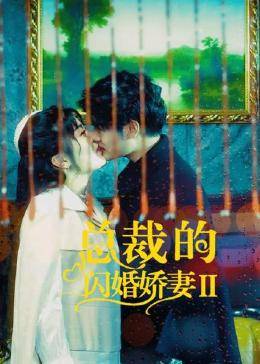总裁的闪婚娇妻2 