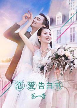 恋爱告白书 