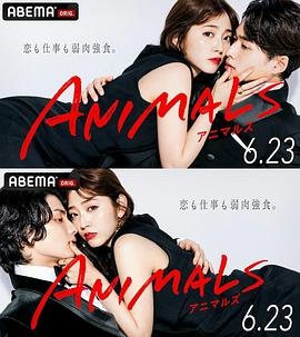 ANIMALS,归国篇 