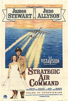 战略空军 