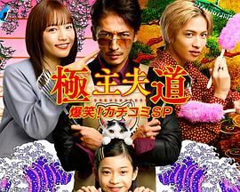 极主夫道,爆笑砸场子SP 