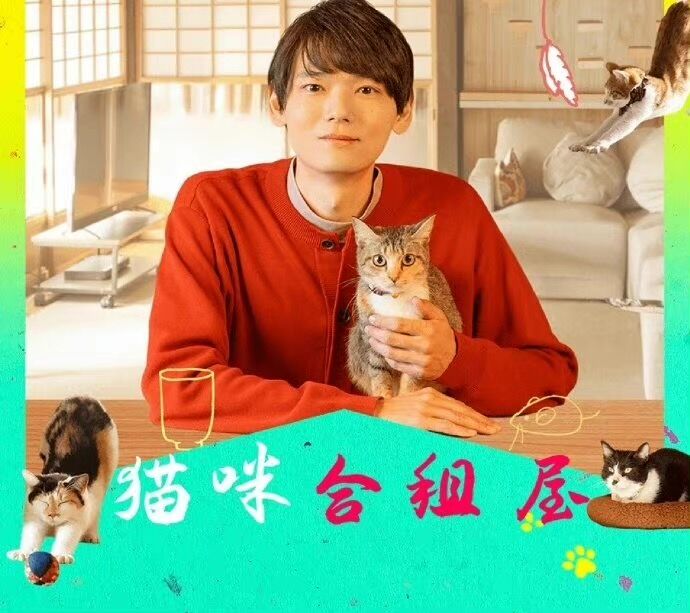 猫咪合租屋 