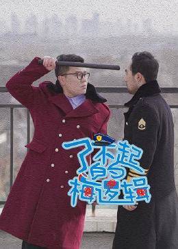 了不起的梅逻辑 