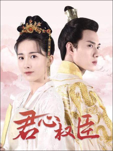 君心权臣 