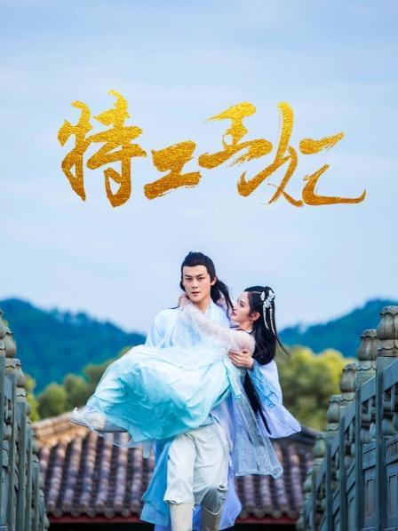 特工王妃 