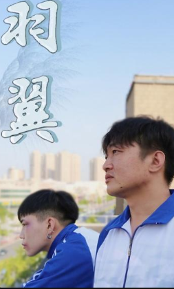 羽翼 