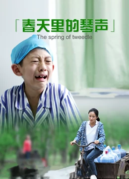 春天里的琴声 