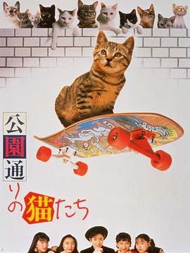 公园路的猫们 