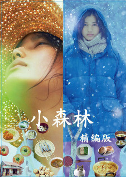 小森林精编版 