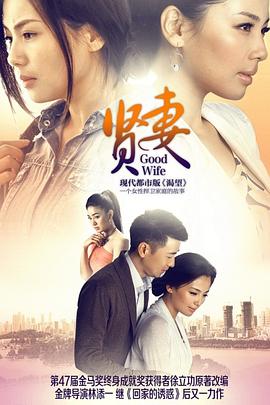 贤妻2013 