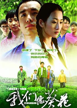 我们像葵花 