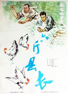 六斤县长 