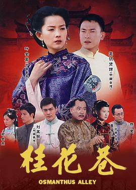 桂花巷2002 