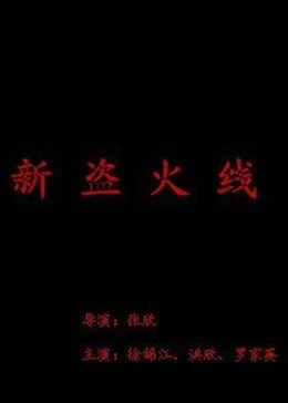 新盗火线 