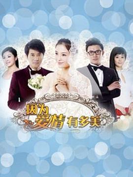 因为爱情有多美DVD版 