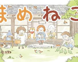 豆豆猫 