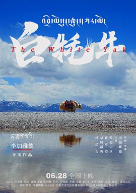 白牦牛 