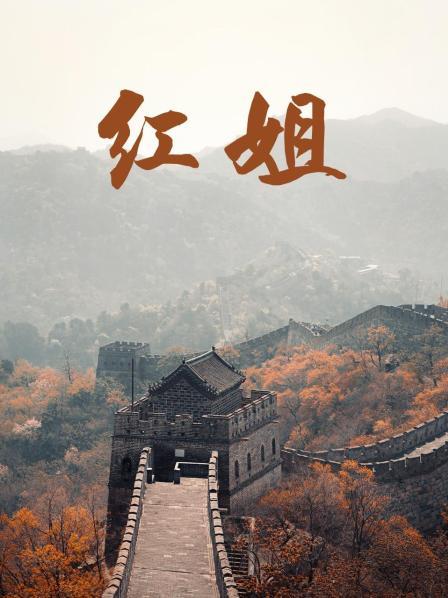 红姐2017 