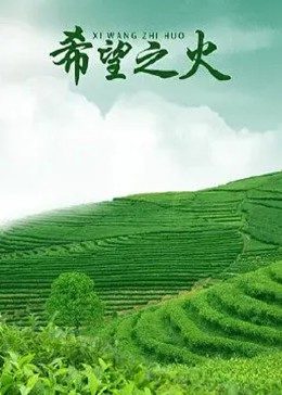 西游超级粉 