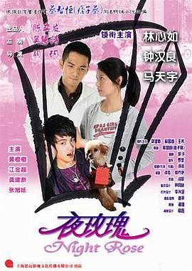 夜玫瑰 