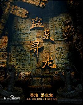 盗墓寻龙 