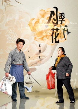 月季花开 