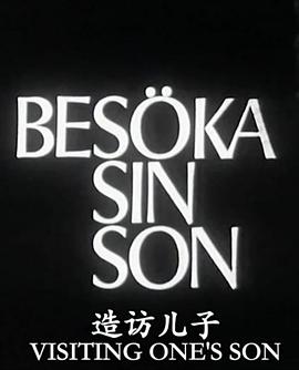 造访儿子 