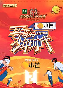 哥哥的少年时代 