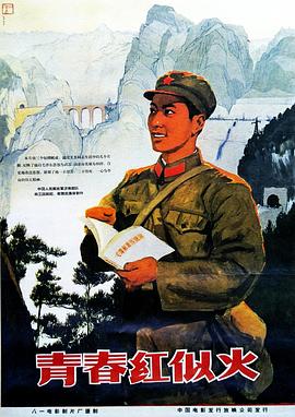 青春红似火 