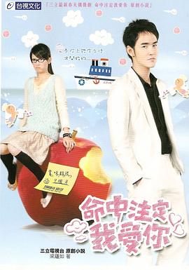 命中注定我爱你2008 