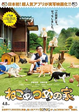 猫咪后院之家 