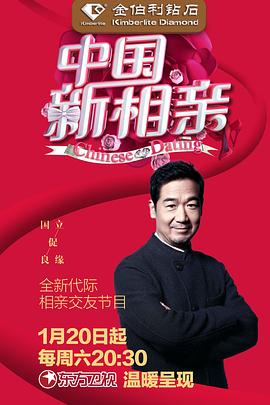 中国新相亲第一季 