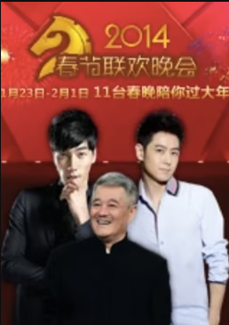 历年卫视春晚 