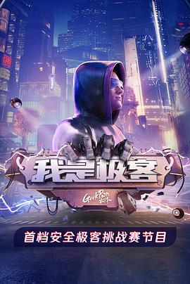 我是极客 