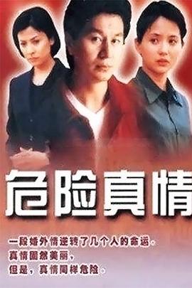 危险真情 