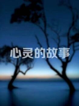 心灵的故事 