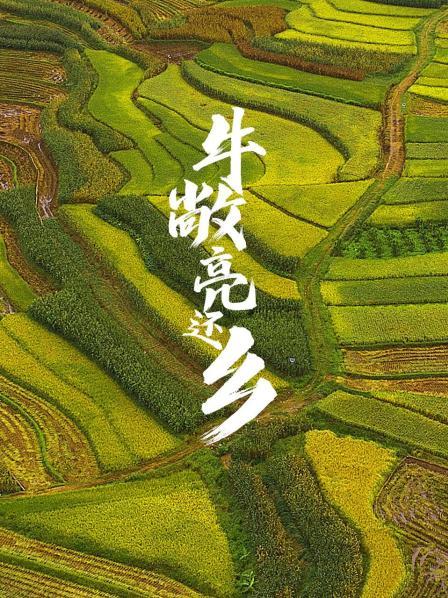 牛敞亮还乡 