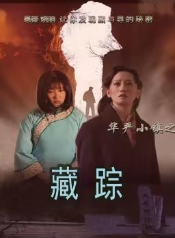 华严小镇2之藏踪 