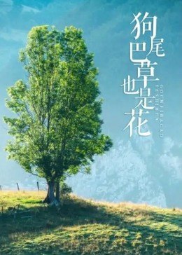 狗尾巴草也是花 