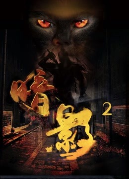 暗影2 