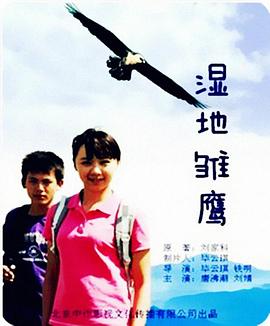 湿地雏鹰 