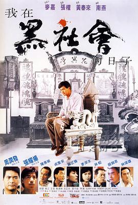 我在黑社会的日子 