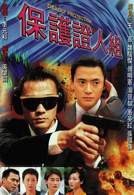 保护证人组 
