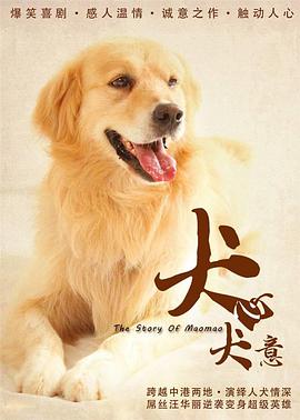 犬心犬意 
