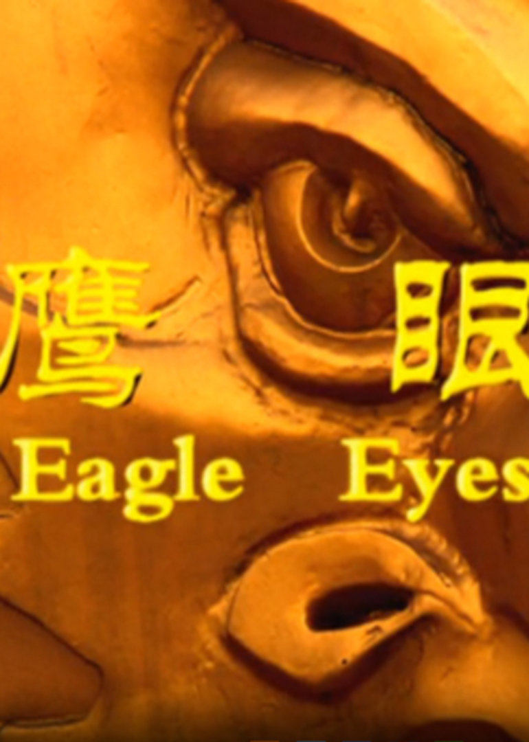 鹰眼2009 