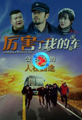 厉害了我的车 