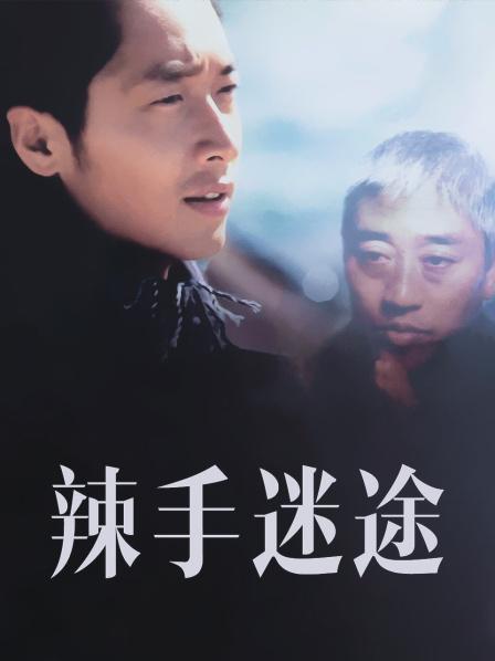 辣手迷途 