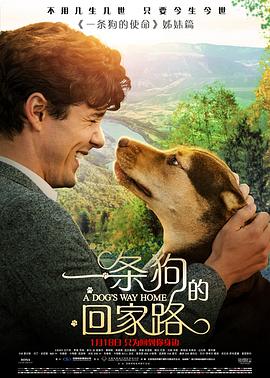 一条狗的回家路 